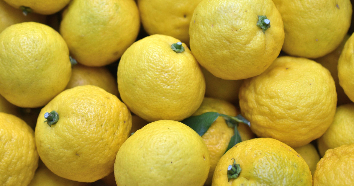 athena and aphrodite lemon
