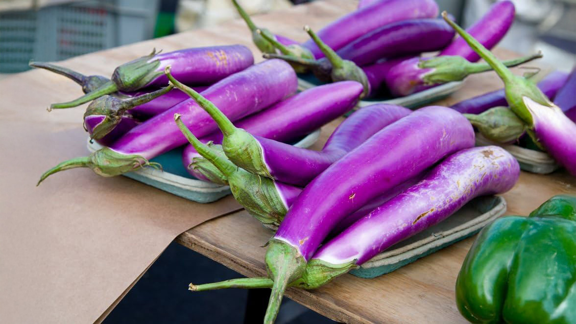 EGGPLANT JAPANESE 16-9