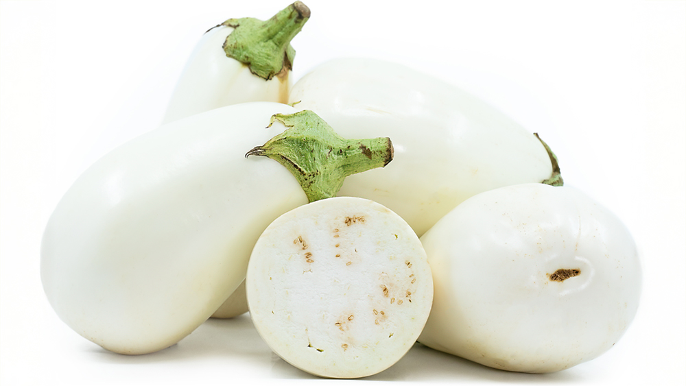 EGGPLANT WHITE 16-9