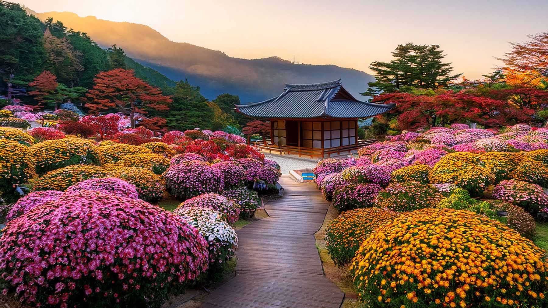 Landscape