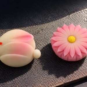 Wagashi workshop - středa 16.9.2026 od 18:00